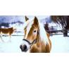 Decora tu comedero para caballos con una bonita imagen en la nieve.